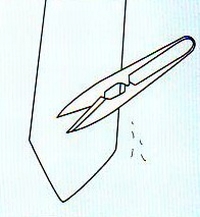 �l�N�^�C,��,���ѕ�,�ۊ�