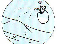 <�V���c�̃����e>